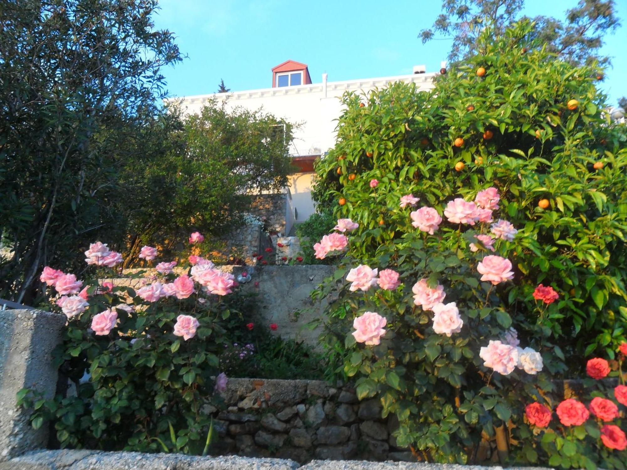 Gasthof House Smajic 3*